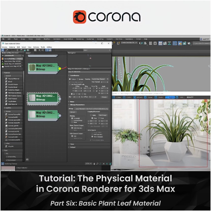 Corona Renderer - Basic plant leaf - Physical material tutorial 