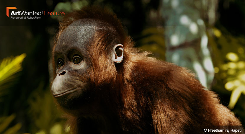 Preetham Raj Rapeti - Orangutan