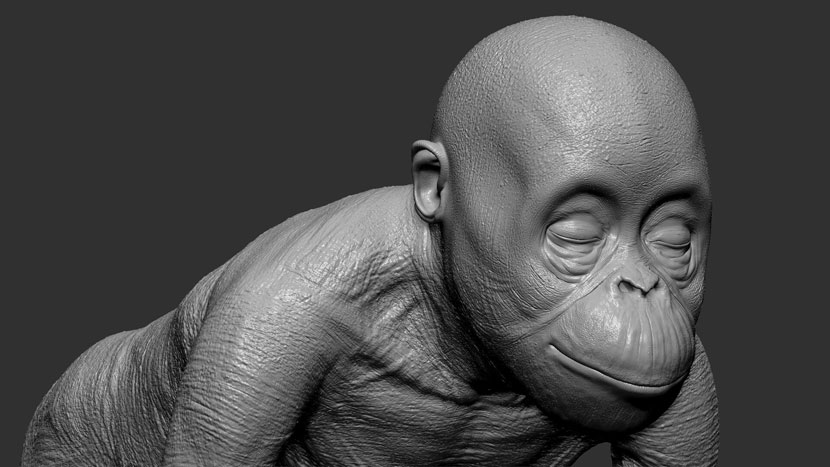 Orangutan Head Details