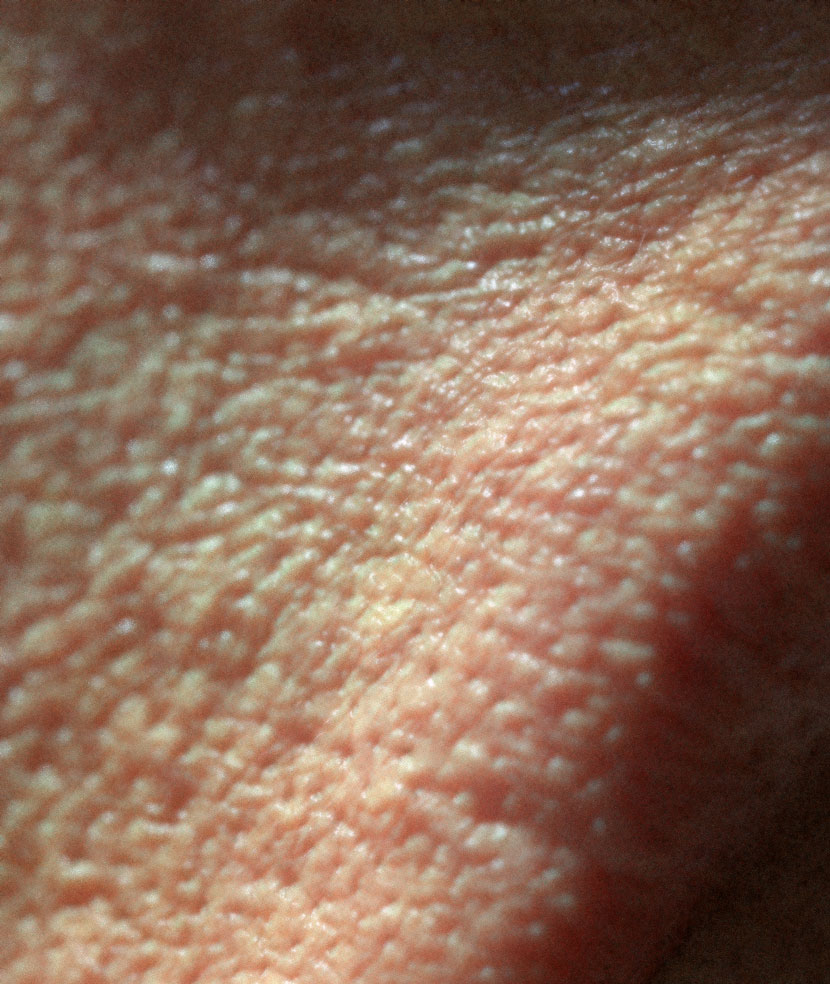 Close-Up of rendered skin